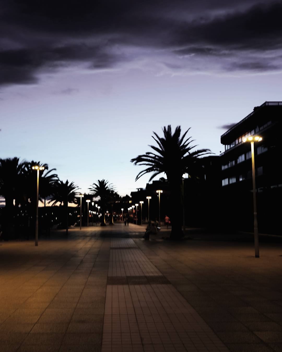 Promenade bordée de palmiers à Saint-Laurent-du-Var, de nuit